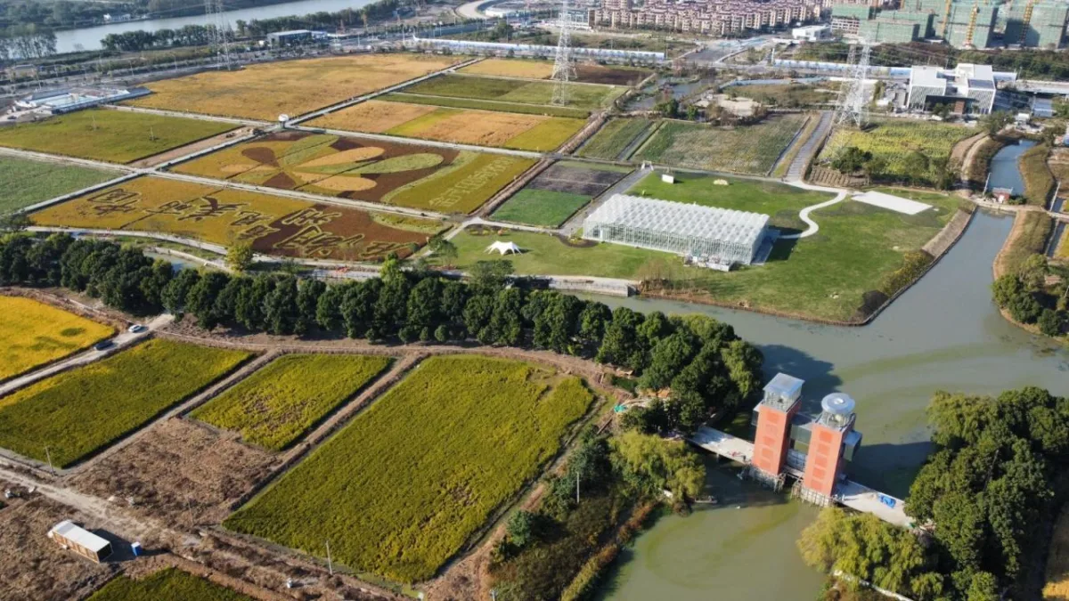BIM建筑|乡村微更新的在地实践 / 上海交通大学奥默默工作室