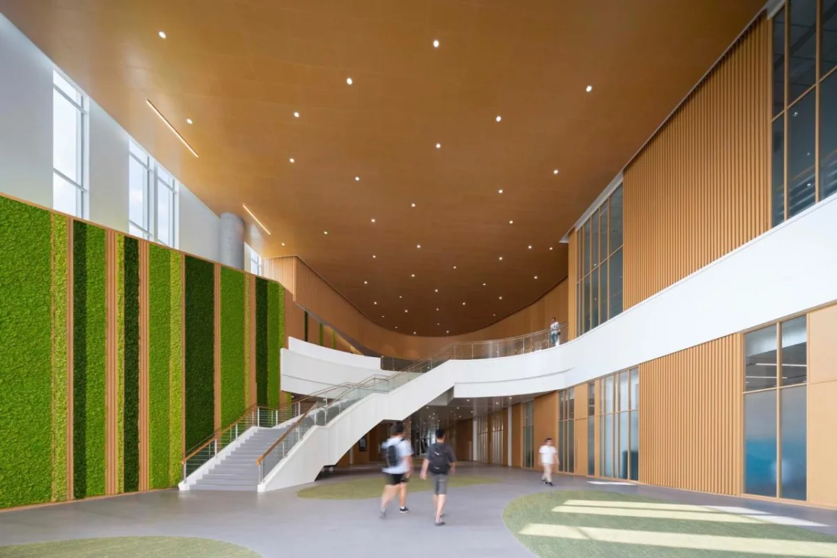 BIM建筑|香港科技大学(广州)校区 / KPF