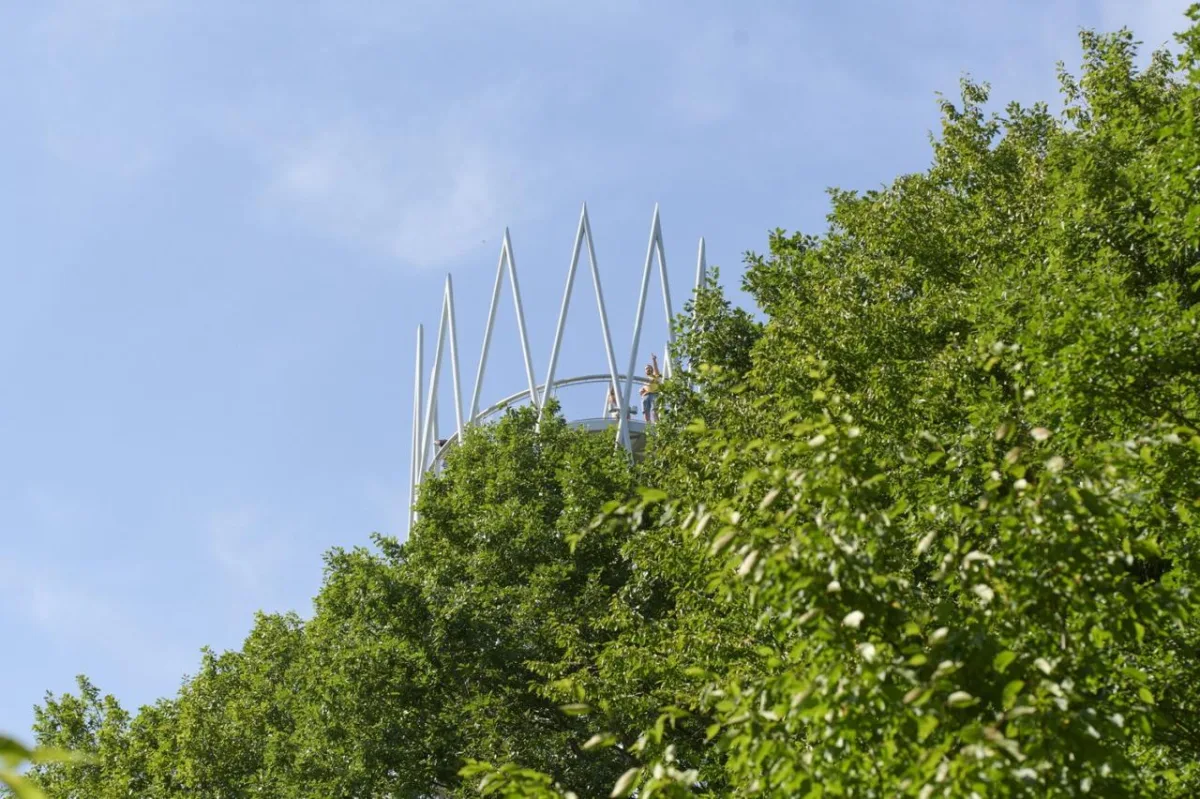 BIM建筑|Hardtbergturm 瞭望塔 / Wolfgang Ott Architekt BDA