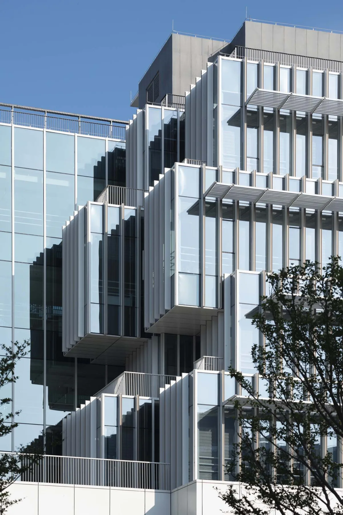 BIM建筑|香港科技大学(广州)校区 / KPF