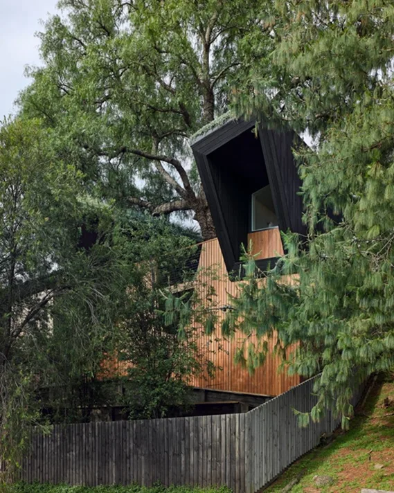 BIM建筑|赛姆斯设计“胡椒树被动住宅”