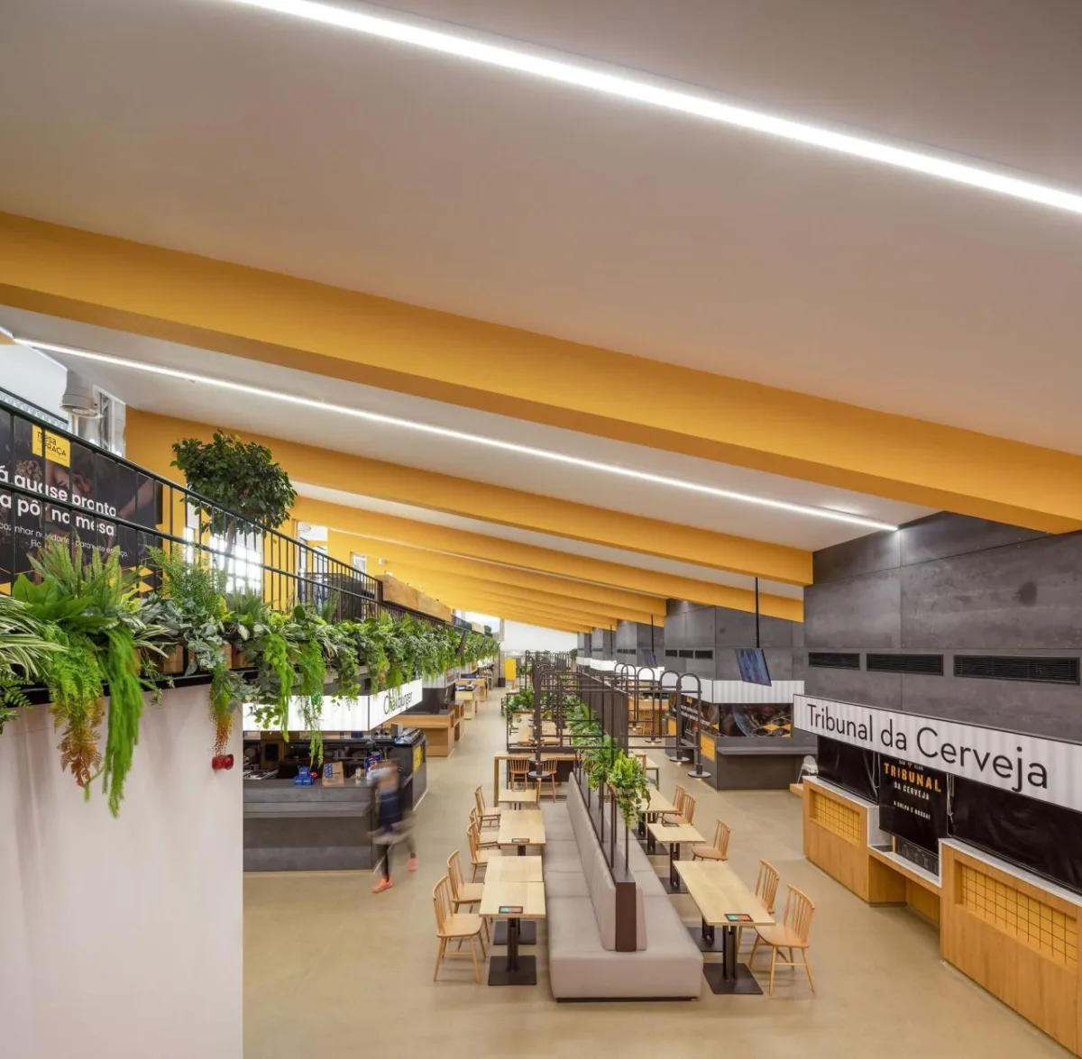BIM建筑|布拉加市政市场 / APTO Architecture