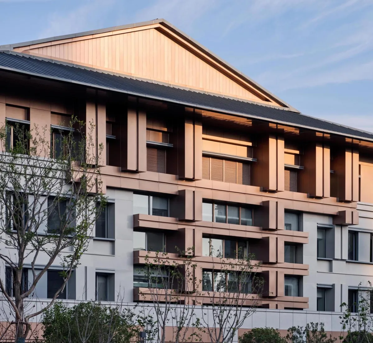 BIM建筑|百廿相遇星辰瑶海——合肥一中东校区 / 浙江大学建筑设计研究院