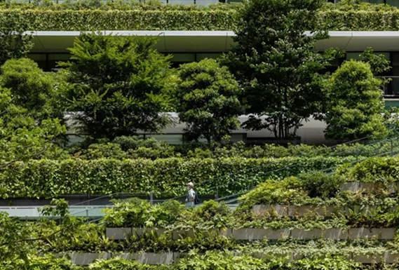 BIM建筑|英根霍芬在东京设计植物覆盖的摩天大楼