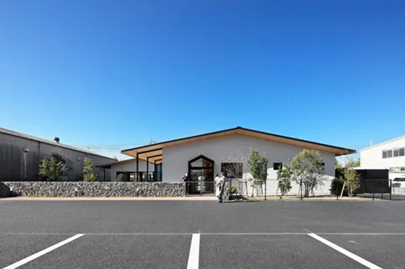 BIM建筑|日比野工作室设计MS幼儿园