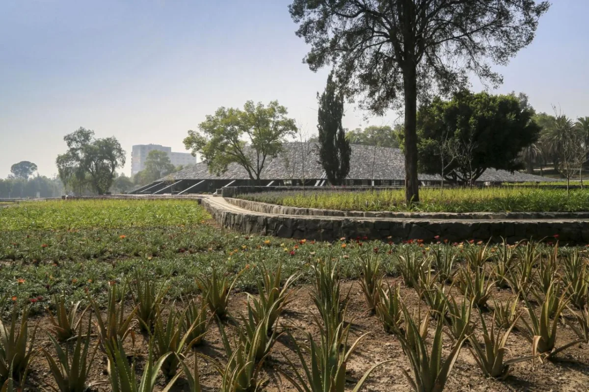 BIM建筑|覆盖在大地上，查普尔特佩克环境文化中心 / ERREqERRE Arquitectura y Urbanismo + Taller ID
