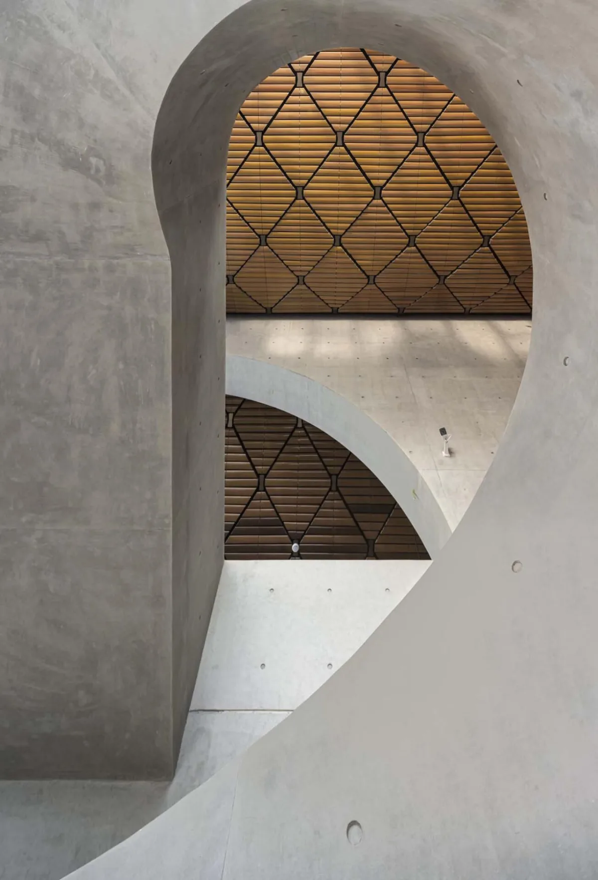 BIM建筑|隋唐大运河文化博物馆 / 同济若本建筑工作室