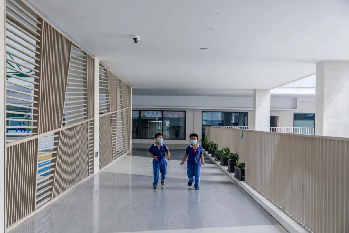 BIM建筑|桃园小学 / 立方建筑设计