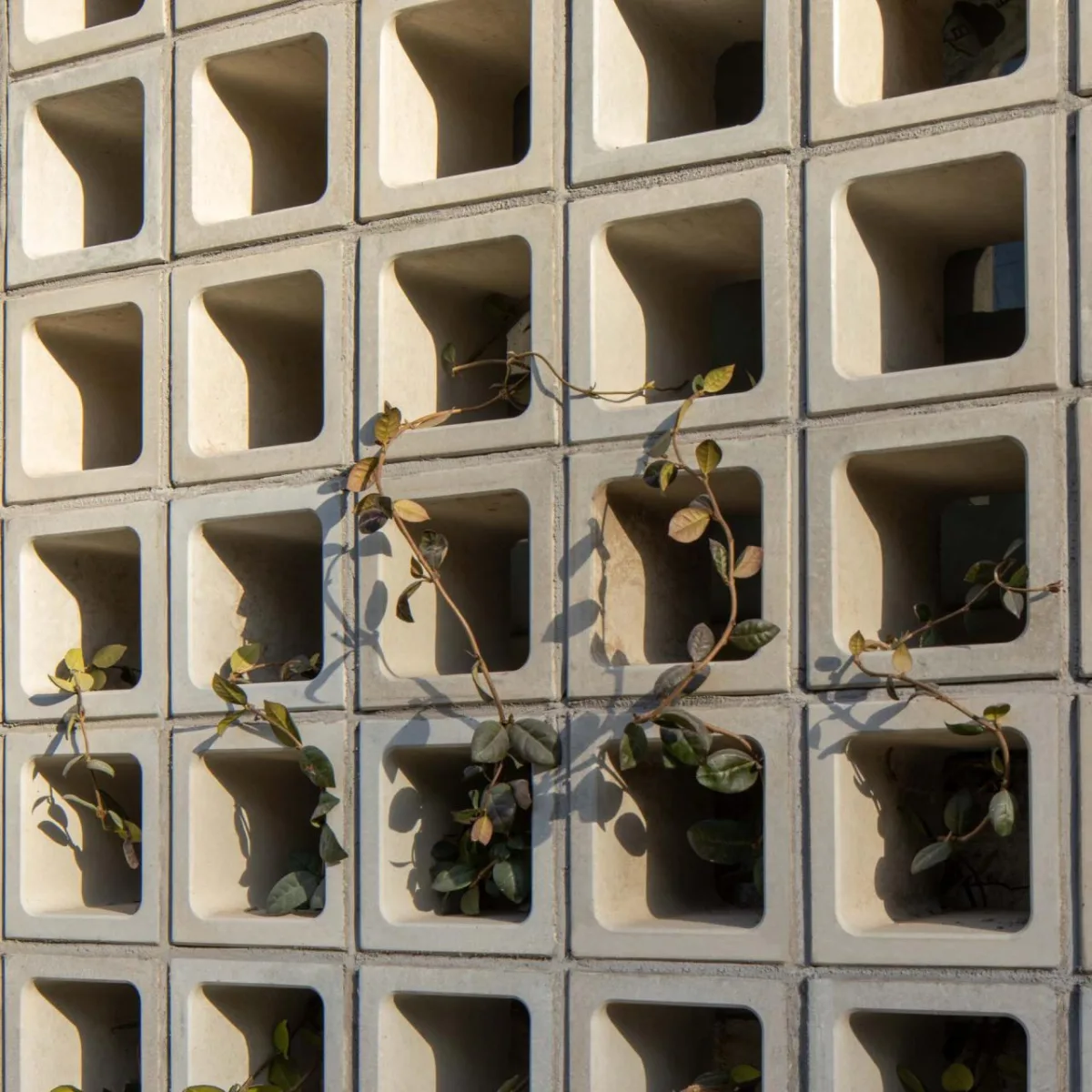 BIM建筑|福邸仓库改造 / say architects