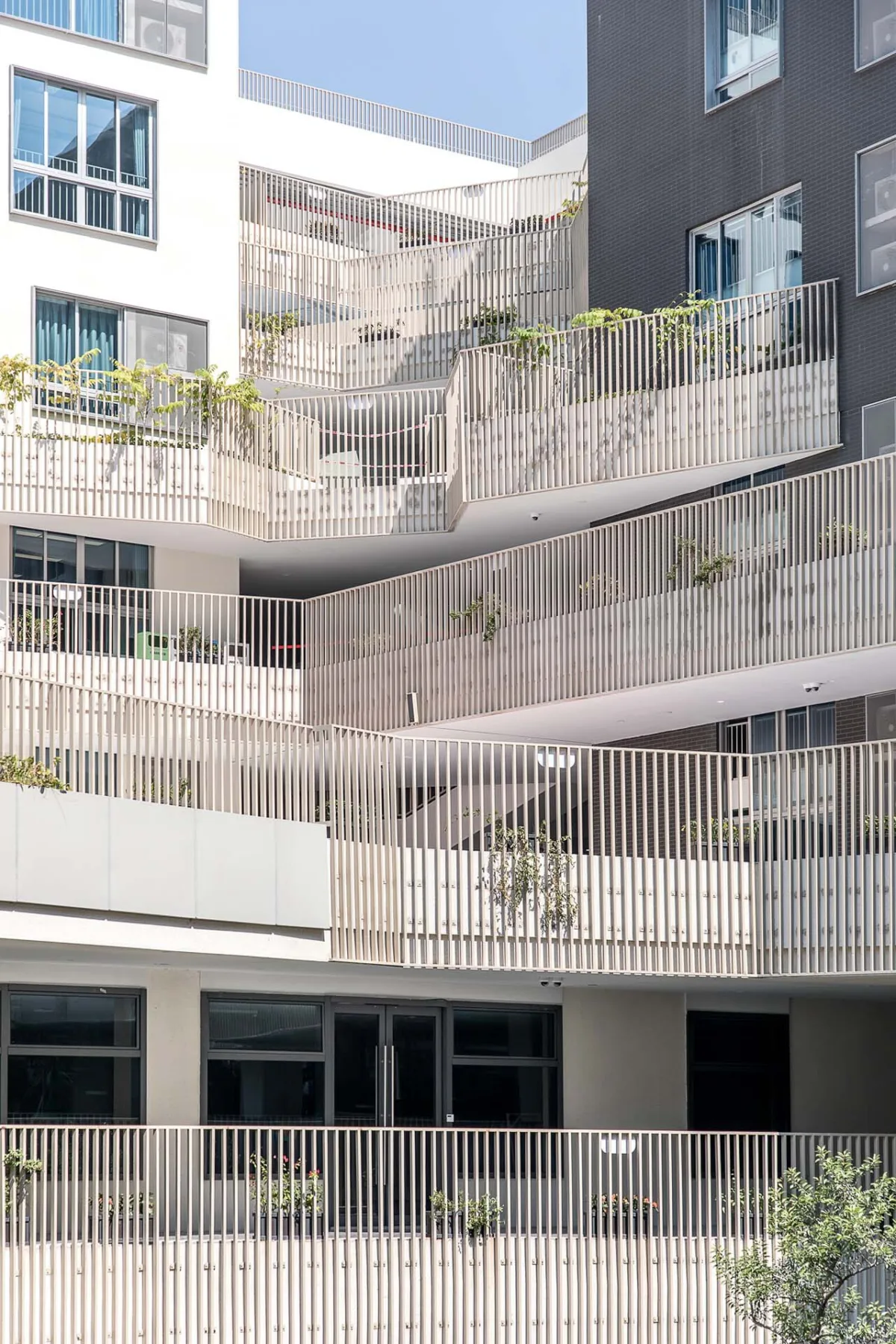 BIM建筑|桃园小学 / 立方建筑设计