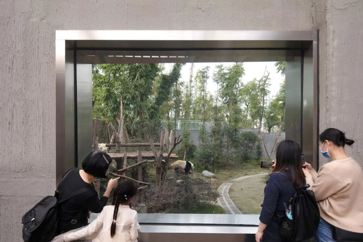 BIM建筑|成都熊猫新舍: 溪谷林壑间的自然栖居 / EID Arch姜平工作室