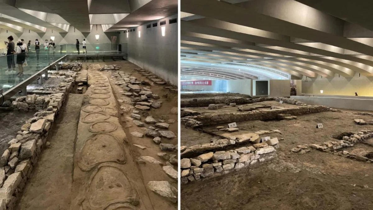BIM建筑|徐州城下城遗址博物馆 / 中衡设计
