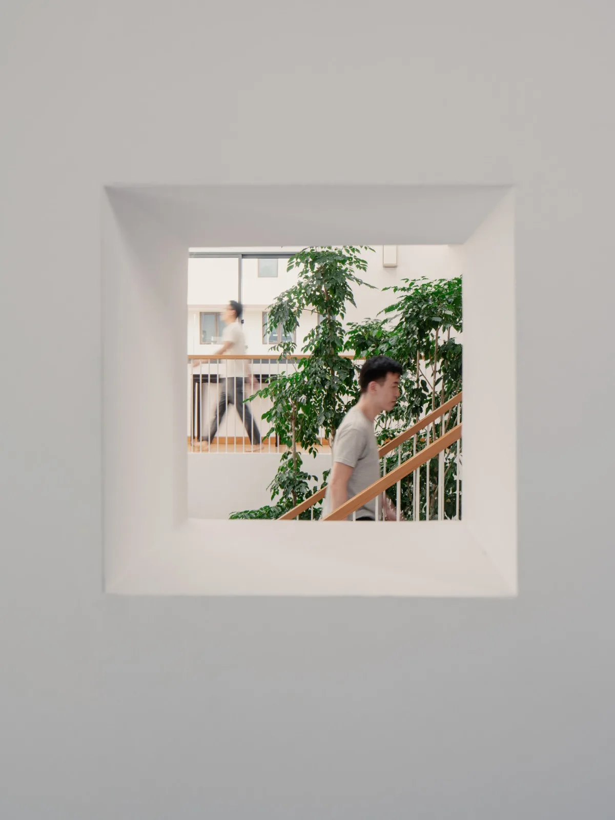 BIM建筑|围屋 / Asolidplan