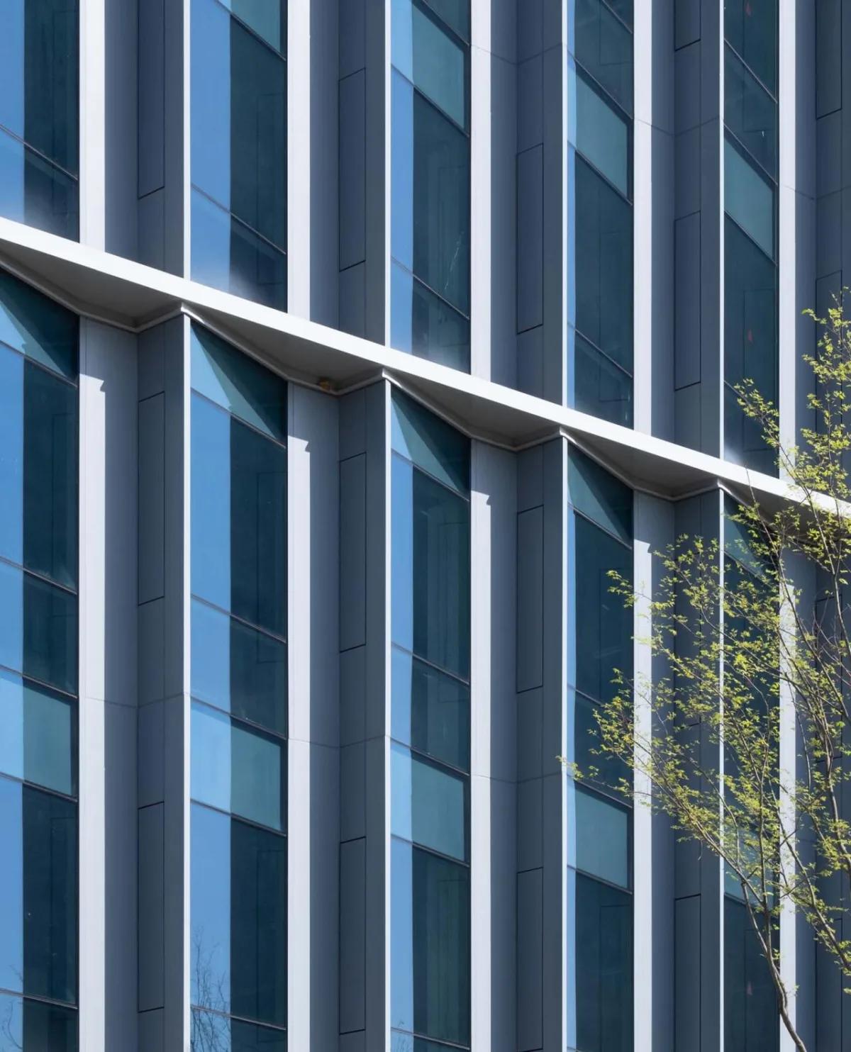 BIM建筑|海康威视成都科技园 / 华东建筑设计研究院