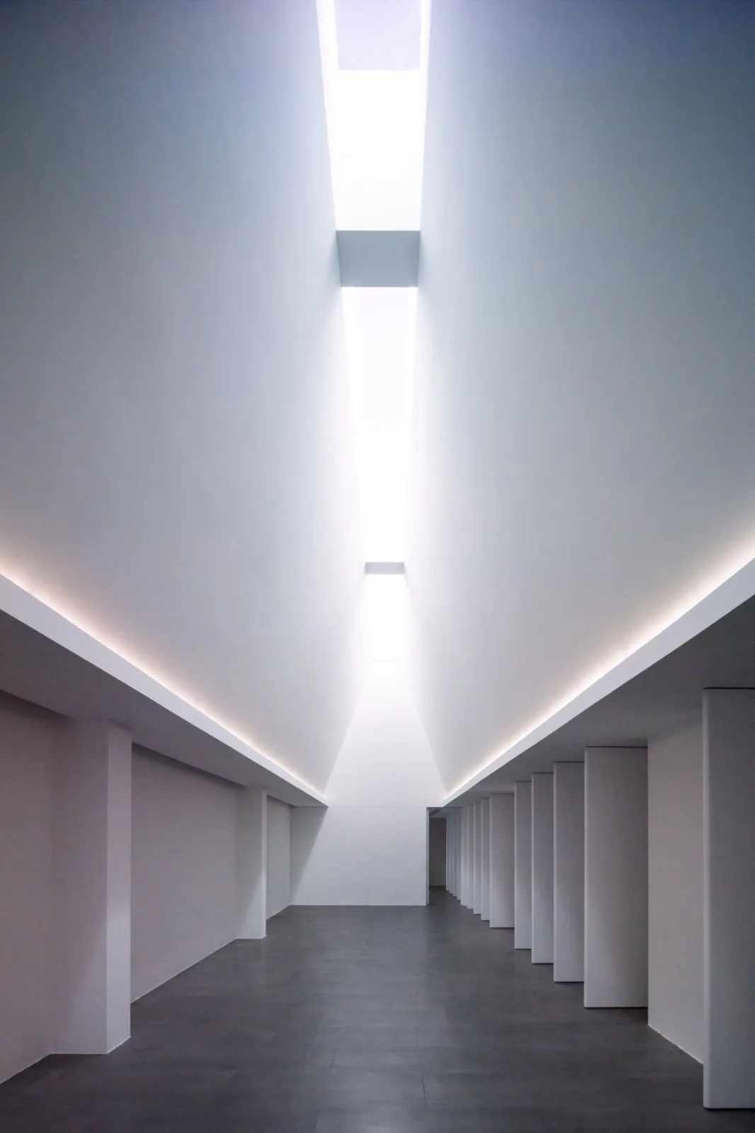 BIM建筑|Offer 4 面试篇取景地：笙白艺术空间 / 日常建造
