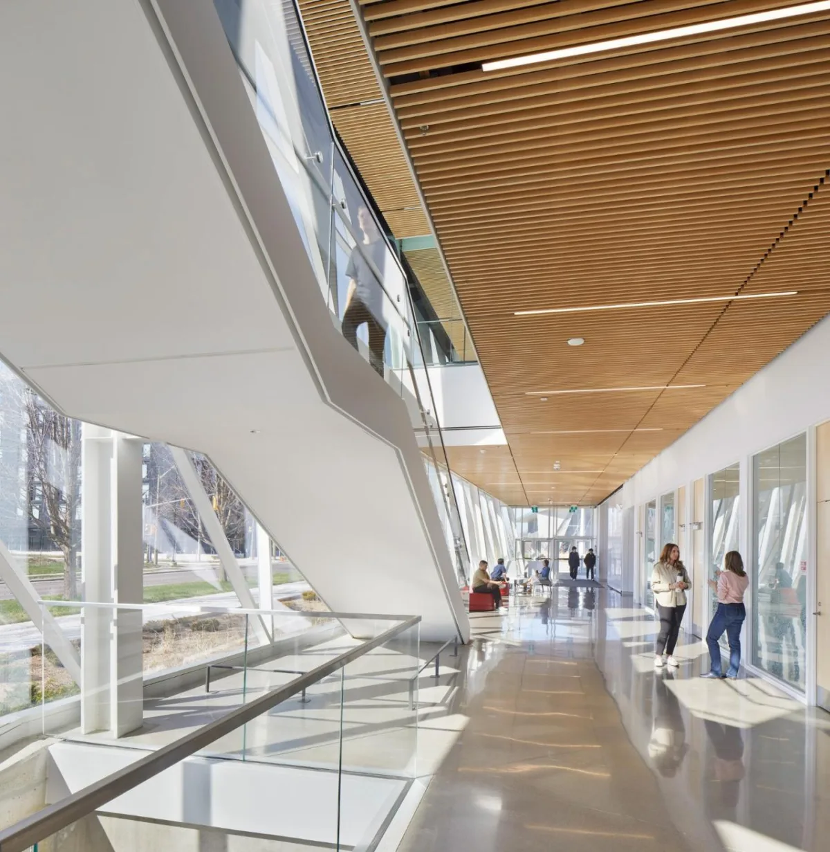 BIM建筑|约克大学继续教育学院 / Perkins&Will