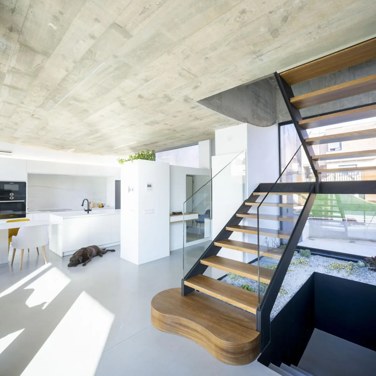 BIM建筑|混凝土外壳，NAU 住宅 / MUKA Arquitectura