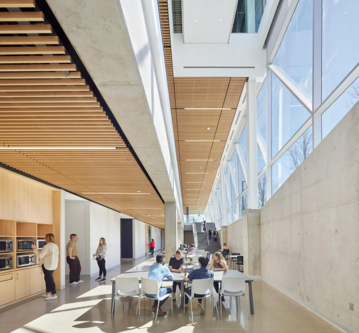 BIM建筑|约克大学继续教育学院 / Perkins&Will