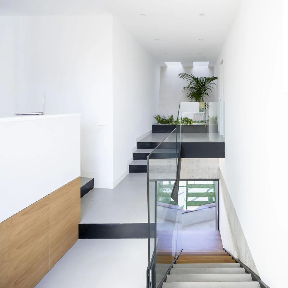 BIM建筑|混凝土外壳，NAU 住宅 / MUKA Arquitectura