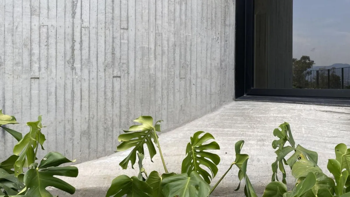 BIM建筑|DL1310 大楼 / Young & Ayata + Michan Architecture