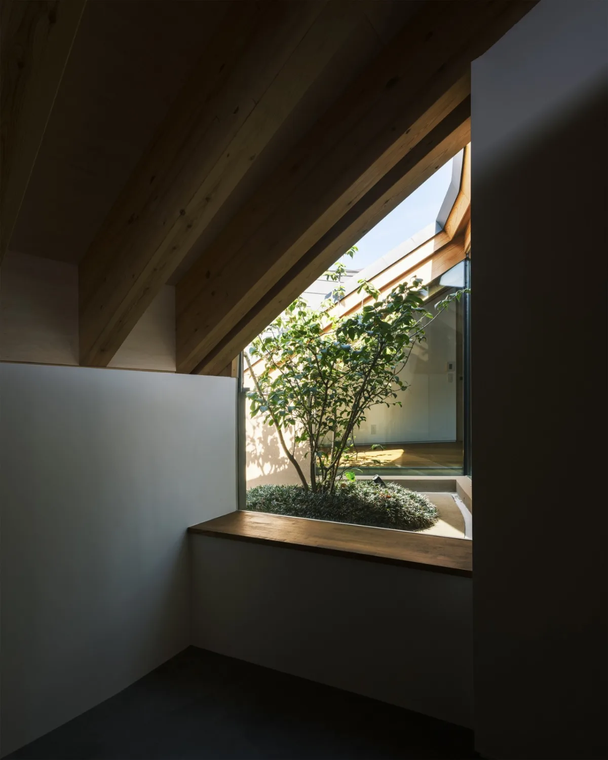 BIM建筑|天空之皿 / NKS Architects