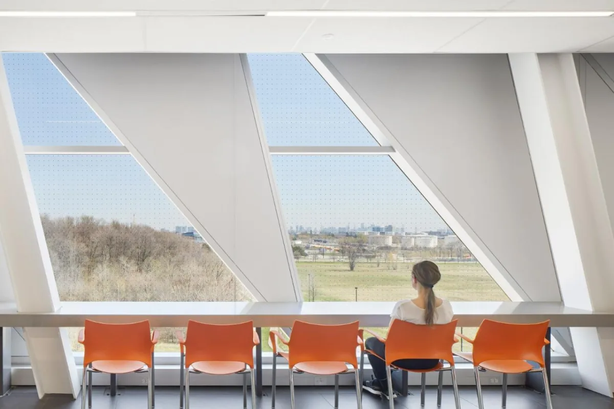 BIM建筑|约克大学继续教育学院 / Perkins&Will