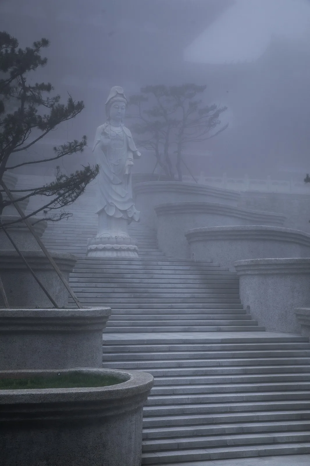 BIM建筑|祖山济心寺·木佛博物馆 /建筑营设计工作室