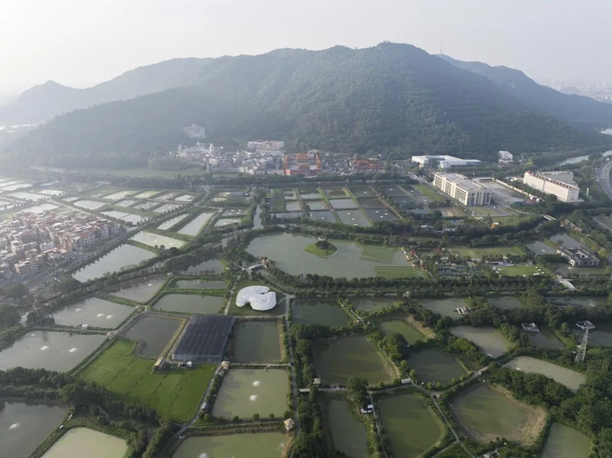 BIM建筑|涟漪：南海区淡水鱼产业技术示范推广中心 / Wutopia Lab