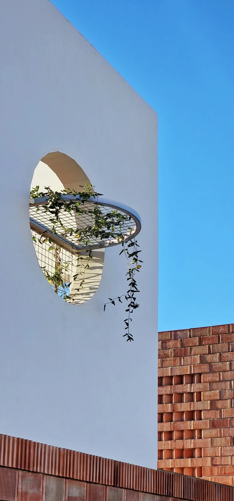 BIM建筑|自由之家 / GRAO