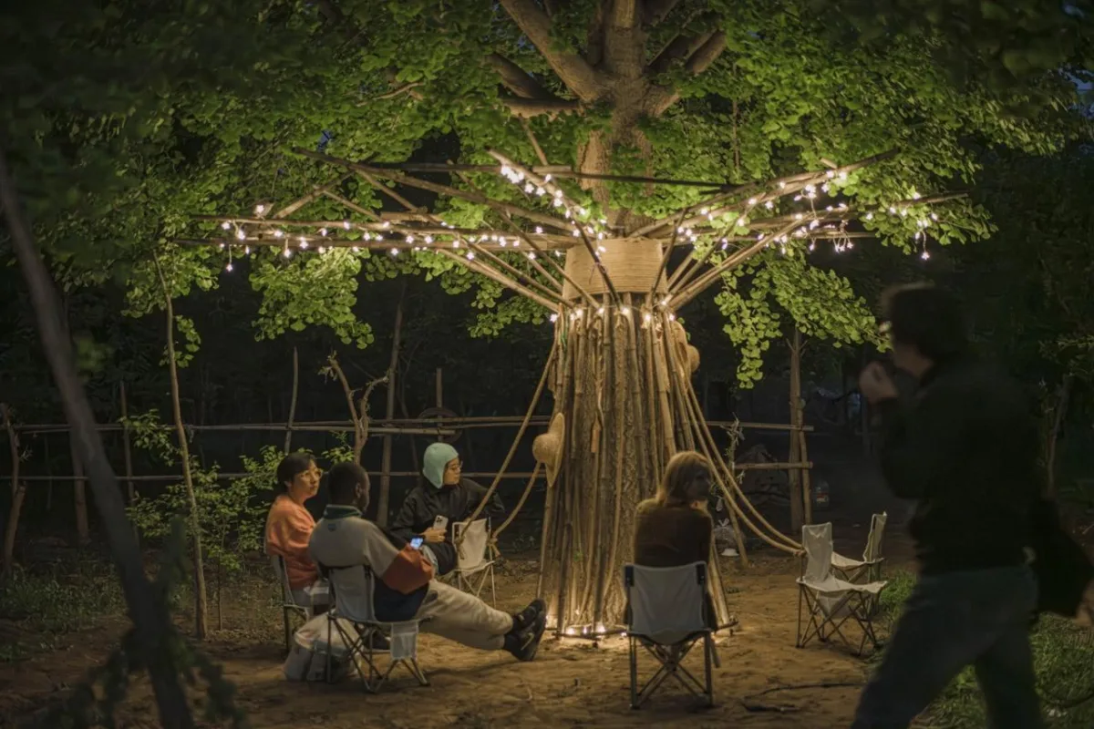 BIM建筑|拥抱可持续：竹装置 Tree of Life / UK Studio