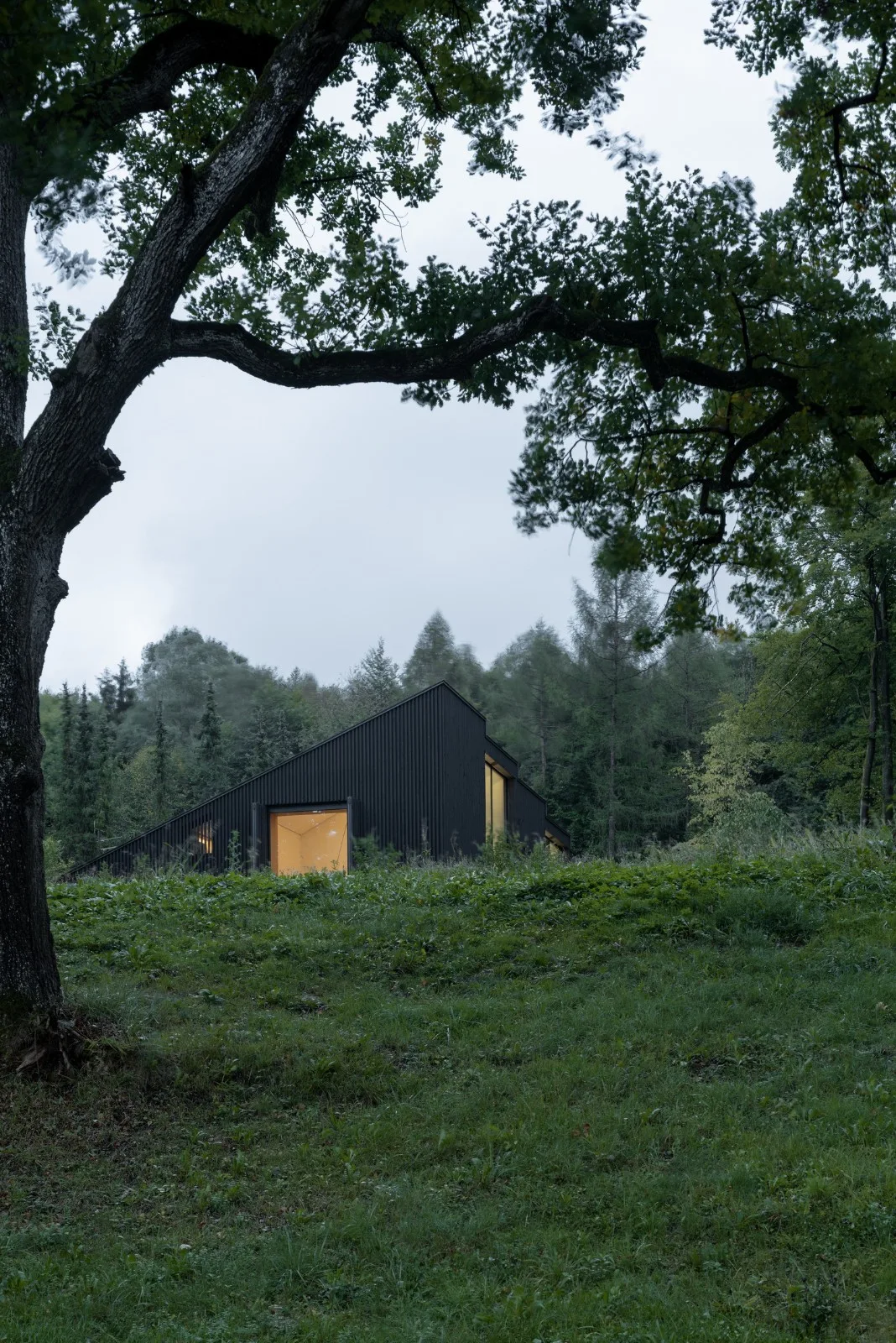 BIM建筑|木质立方体，湖边木屋 / Appels Architekten