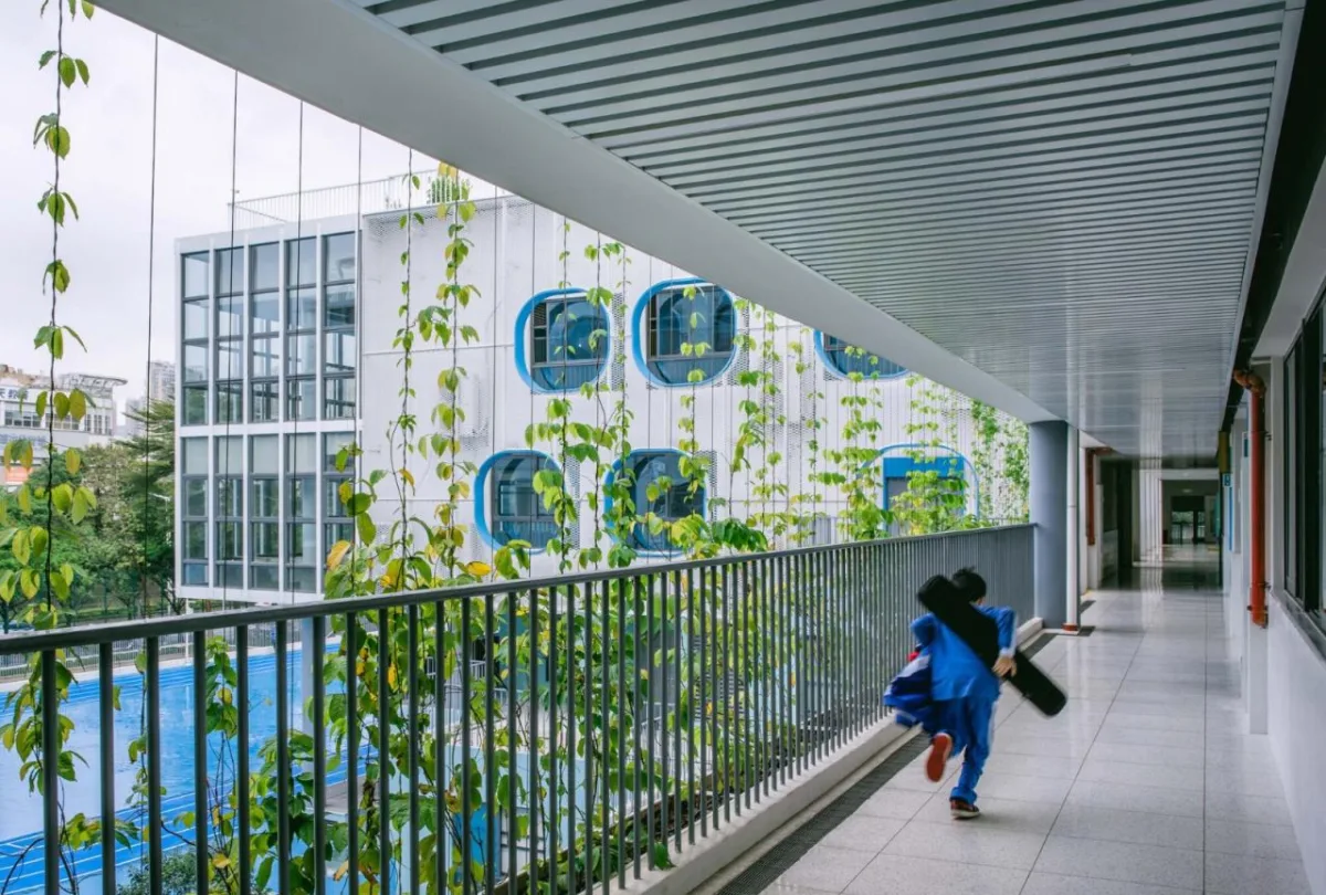 BIM建筑|学习层台—深圳福强小学 / 众建筑