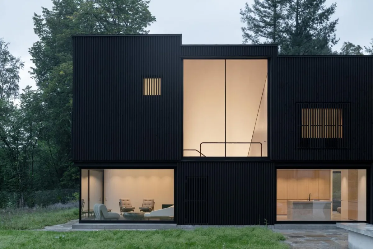 BIM建筑|木质立方体，湖边木屋 / Appels Architekten