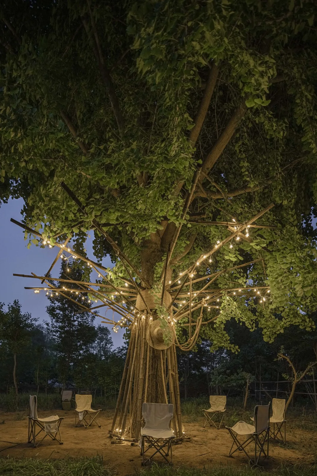 BIM建筑|拥抱可持续：竹装置 Tree of Life / UK Studio