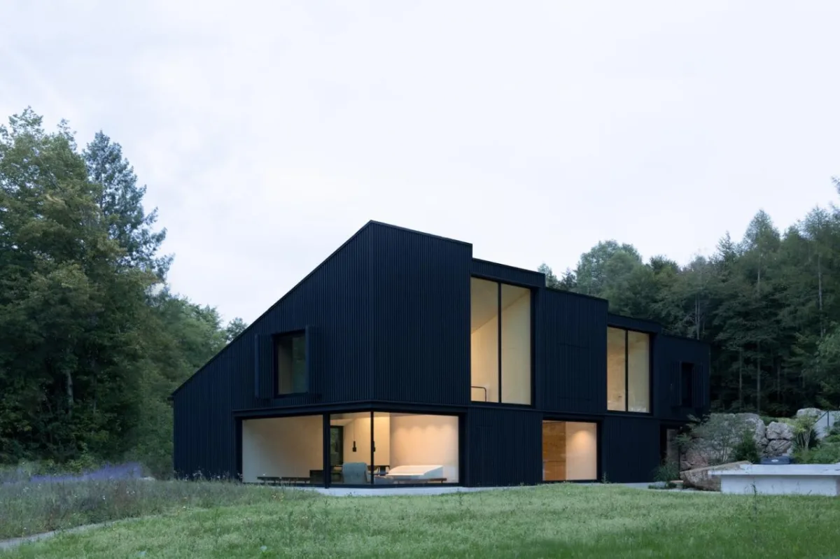 BIM建筑|木质立方体，湖边木屋 / Appels Architekten