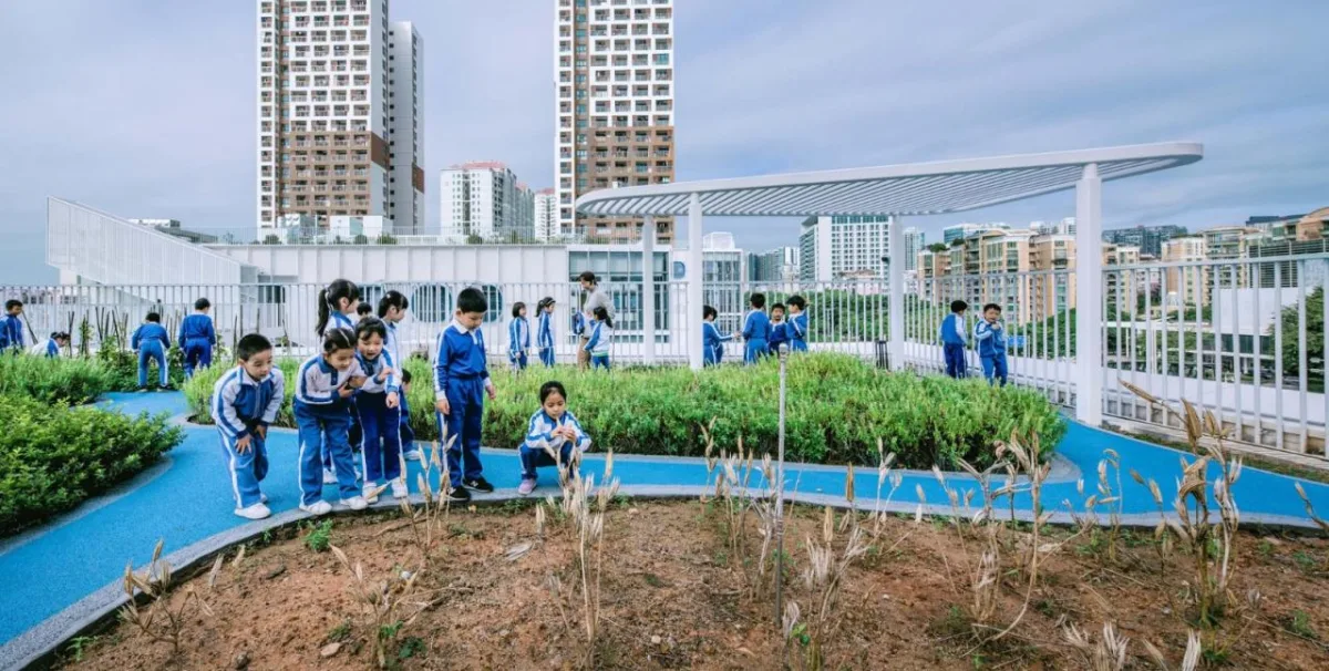 BIM建筑|学习层台—深圳福强小学 / 众建筑