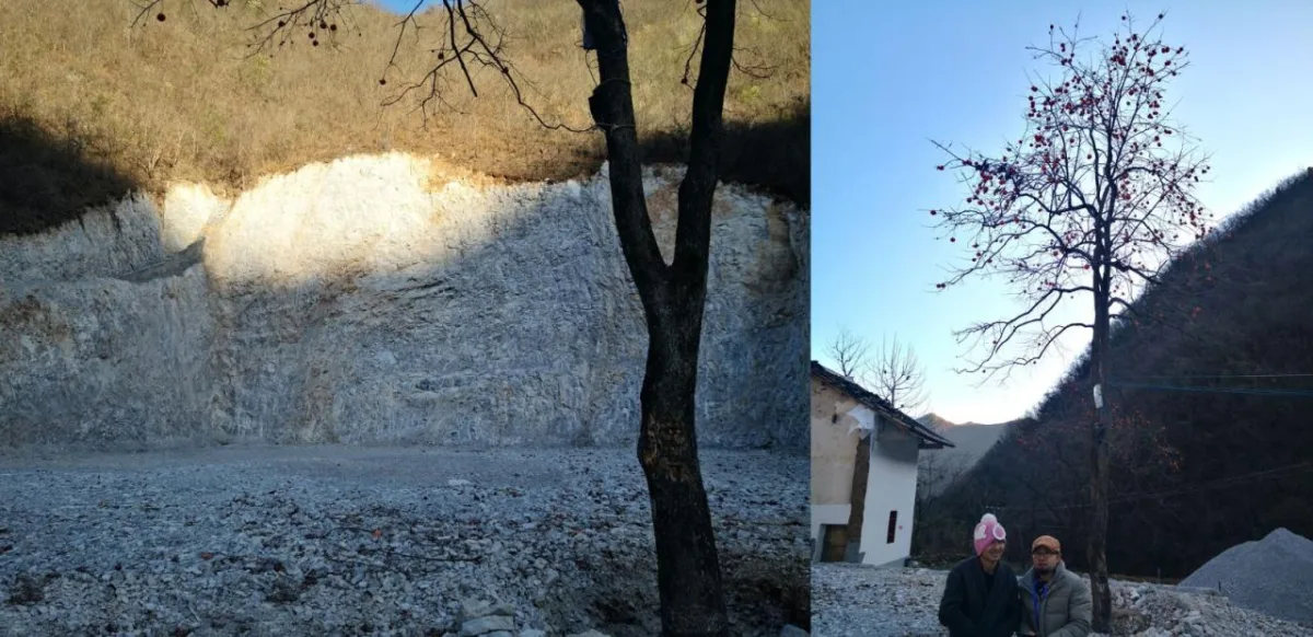 BIM建筑|崖之家 / 郦文曦建筑事务所