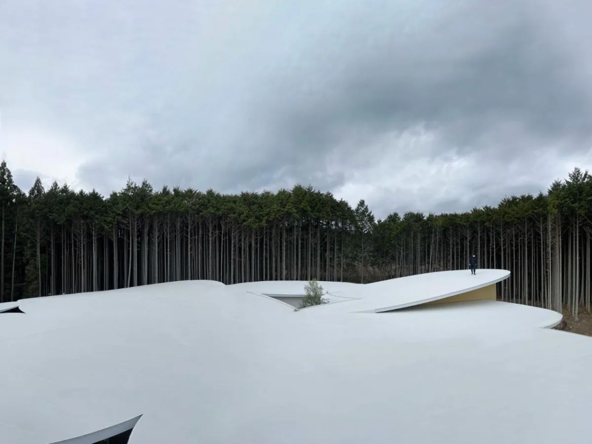 BIM建筑|儿童的森林托儿所 / 山下贵成建筑设计