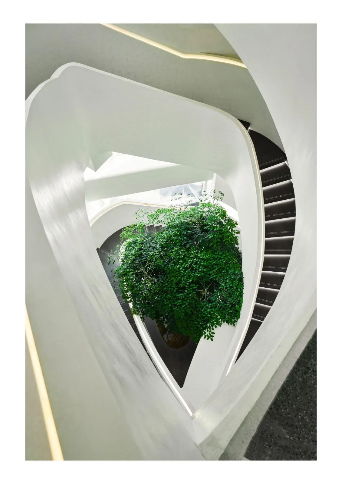 BIM建筑|成都天投国际社区当代艺术中心 / 上海境澜建筑设计有限公司