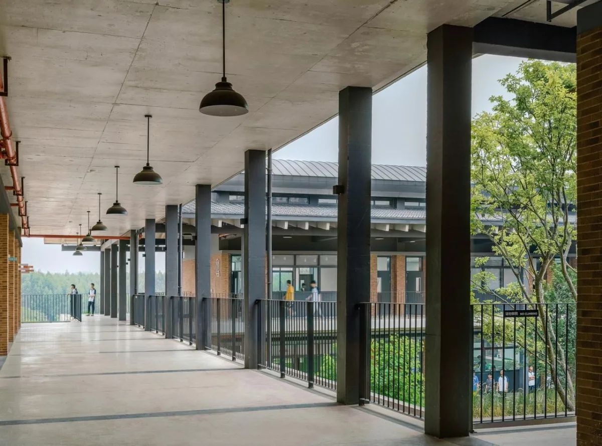 BIM建筑|乐知学校 / 大料建筑