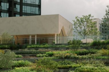 BIM建筑|斯诺赫塔在香港推出“绿肺”城市农场-BIM建筑网