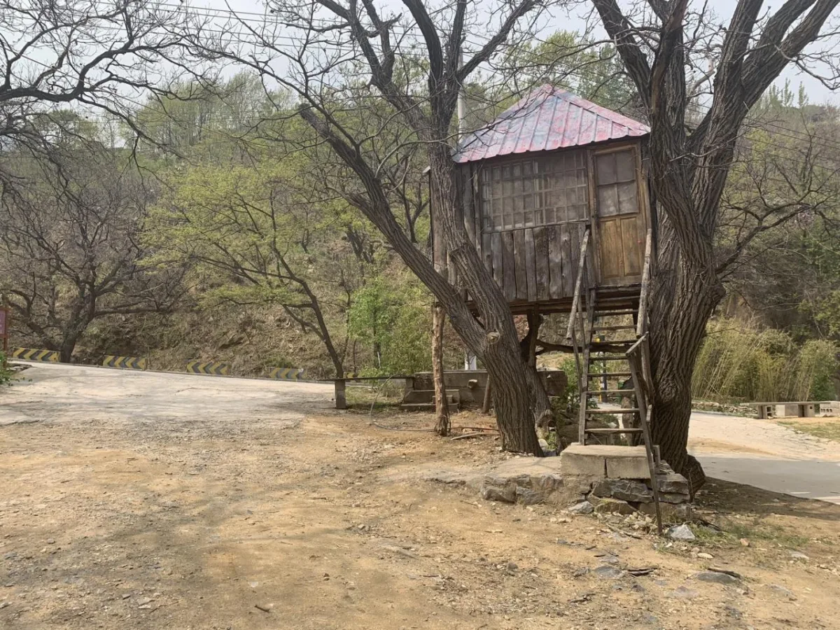 BIM建筑|沂蒙·书舍民宿：板栗树林下的自然再造与共生 / 灰空间建筑事务所