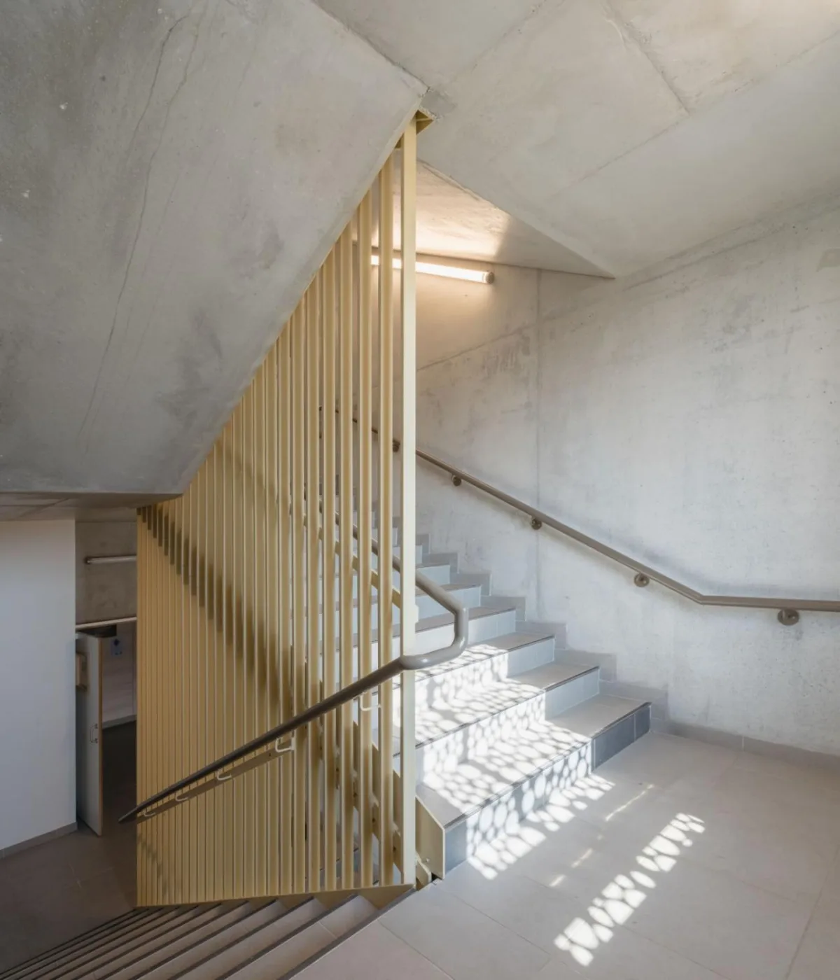 BIM建筑|瓦伦顿 Samuel-Paty 中学 / Archipente