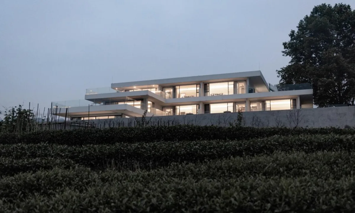 BIM建筑|云台阅野：漂浮在茶田上的民宿 / 岩川建筑设计
