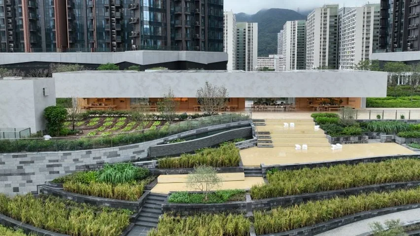 BIM建筑|斯诺赫塔在香港推出“绿肺”城市农场