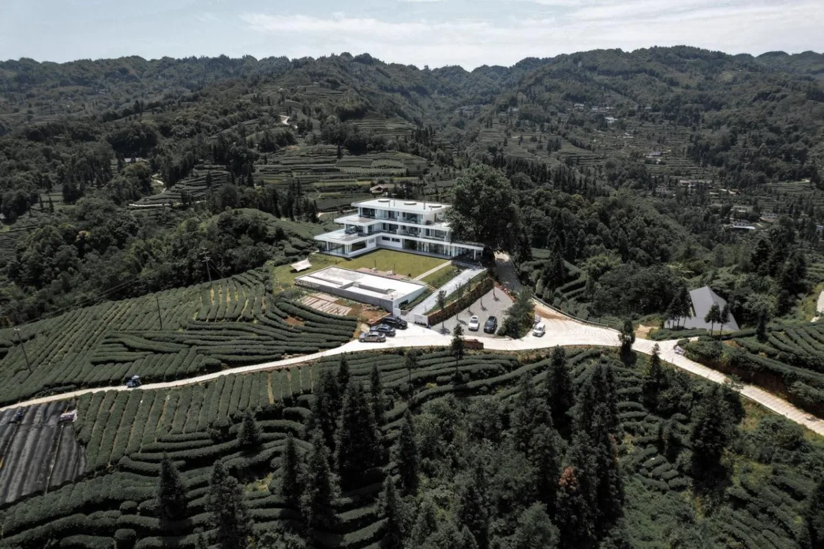 BIM建筑|云台阅野：漂浮在茶田上的民宿 / 岩川建筑设计
