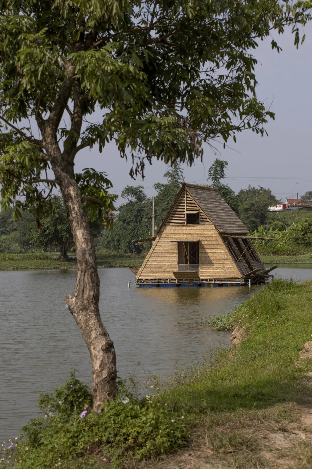 BIM建筑|适应气候变化，漂浮竹屋 / H&P Architects