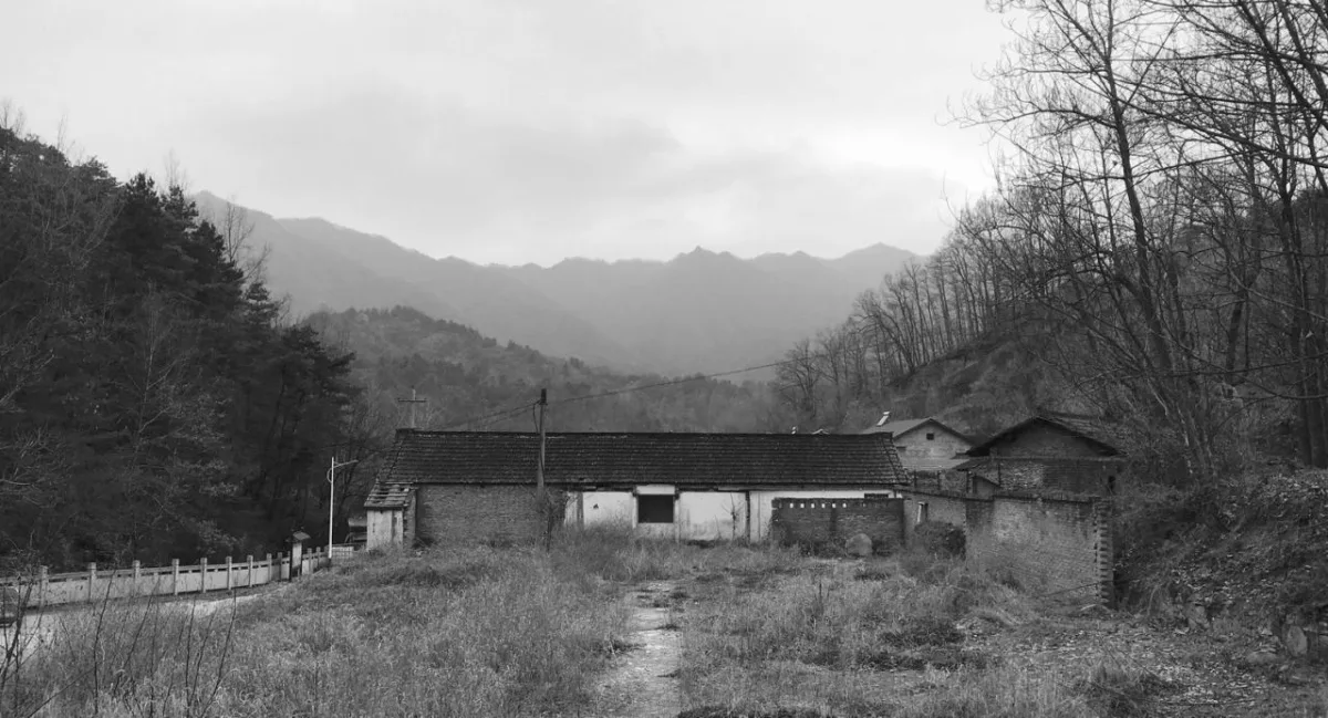 BIM建筑|留坝瓦窑沟多功能服务中心 / 尌林建筑设计事务所