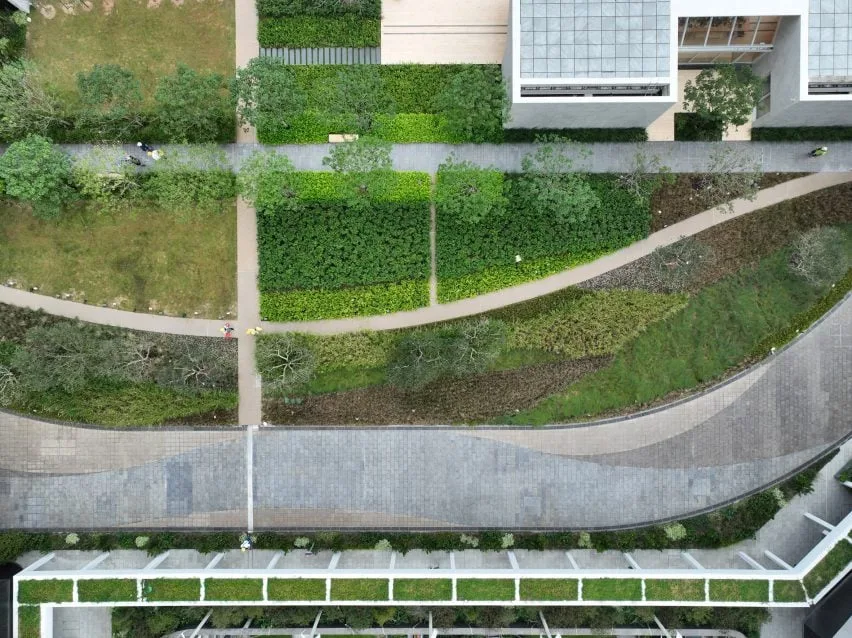 BIM建筑|斯诺赫塔在香港推出“绿肺”城市农场
