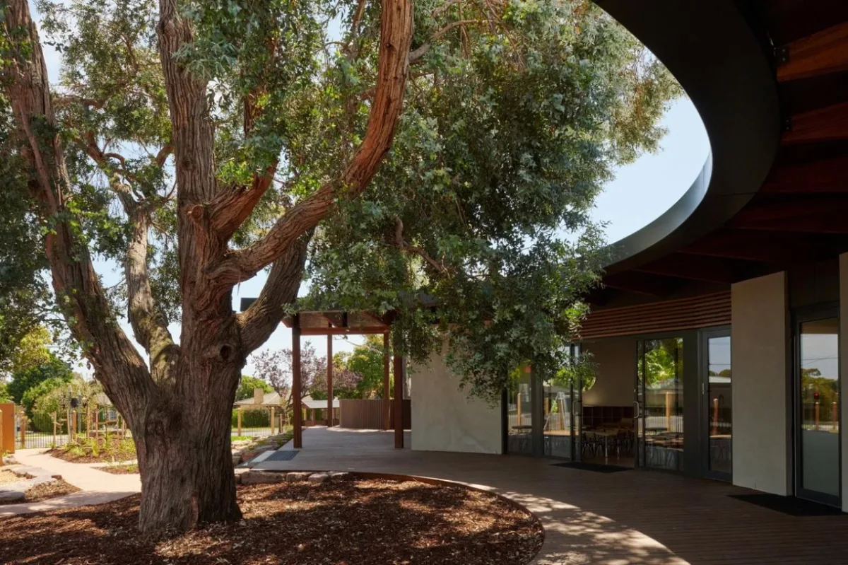 BIM建筑|抱树而建，Wellington 亲子中心 / AOA Christopher Peck